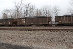 NS 10202